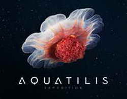 В России создали создали новейший биосенсор для непрерывного контроля глюкозы