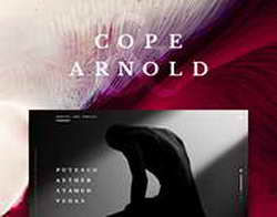 Новый флагманский смартфон получит основную камеру с переменной диафрагмой, качественный перископ и выйдет до китайского Нового года. Возможно, это H