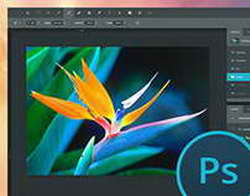 Photoshop və Acrobat artıq ChatGPT daxilində pulsuz oldu