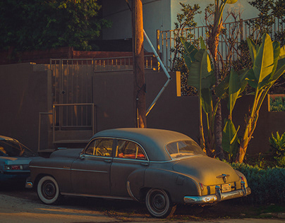 Где заказать такую доставку. Дмитрий Маликов в новом имидже с бородой снялся в образе курьера